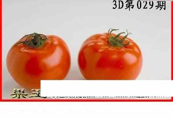 25029期: 白老3D杀码图版