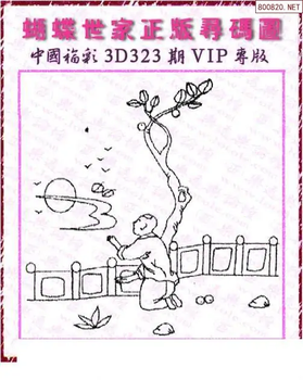 25323期: 3D蝴蝶世家蝴蝶彩图