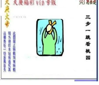 25343期: 三毛3D精品图谜