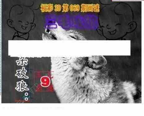 24069期: 三毛3D精品图谜