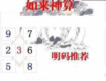 24153期: 白老3D杀码图版