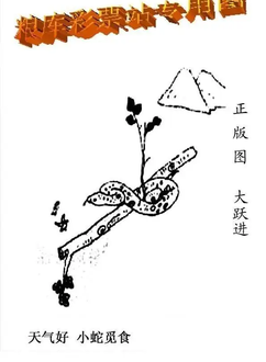 25321期: 老村长福彩3D天天图谜