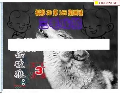 25163期: 三毛3D精品图谜