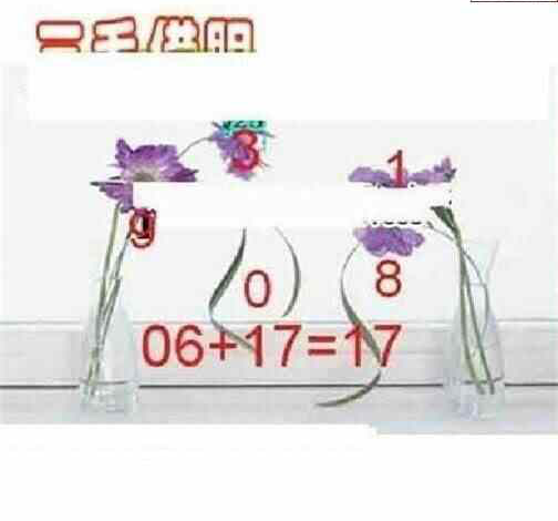 24115期: 三毛3D精品图谜