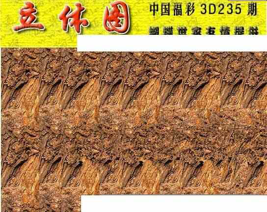 24235期: 3D蝴蝶世家蝴蝶彩图