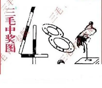 26104期: 三毛3D精品图谜