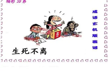 25340期: 福彩3D丹东全图分析