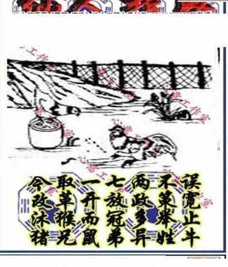 24075期: 三毛3D精品图谜