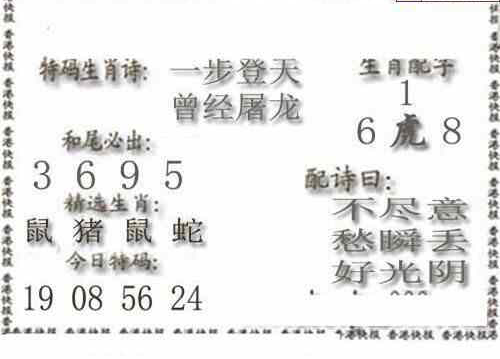 24161��: ����3Dɱ��ͼ��