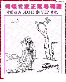 25313期: 3D蝴蝶世家蝴蝶彩图