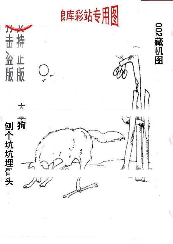 25002期: 老村长福彩3D天天图谜