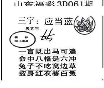 26061期: 三毛3D精品图谜