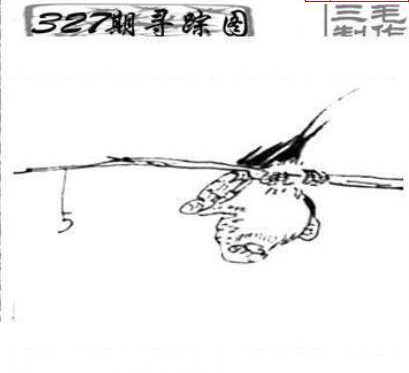 24327期: 三毛3D精品图谜