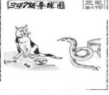 25347期: 三毛3D精品图谜