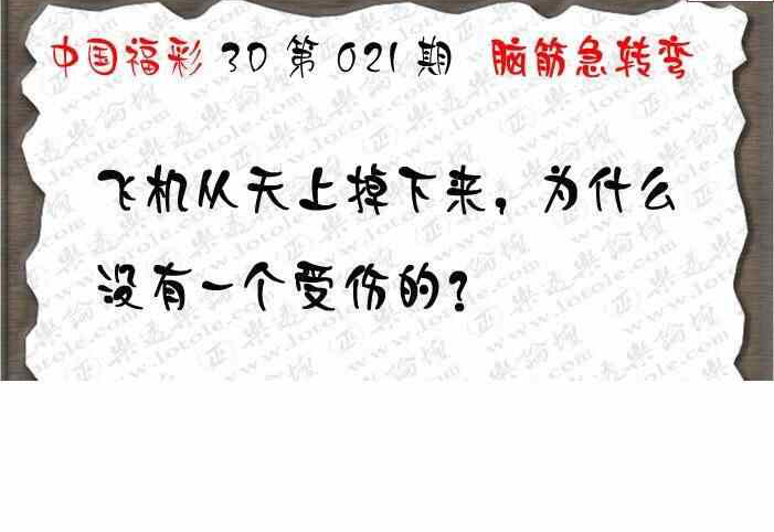 25021期: 3D蝴蝶世家蝴蝶彩图