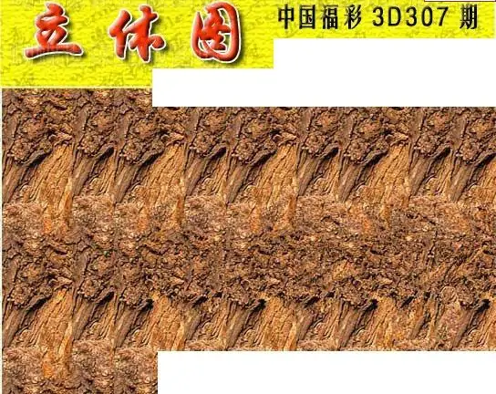 25307期: 3D蝴蝶世家蝴蝶彩图