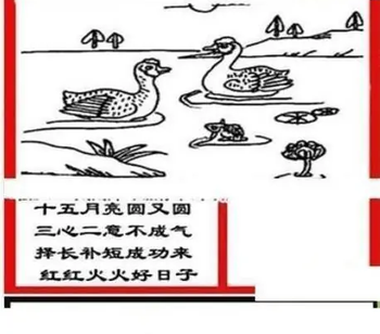 26091期: 三毛3D精品图谜