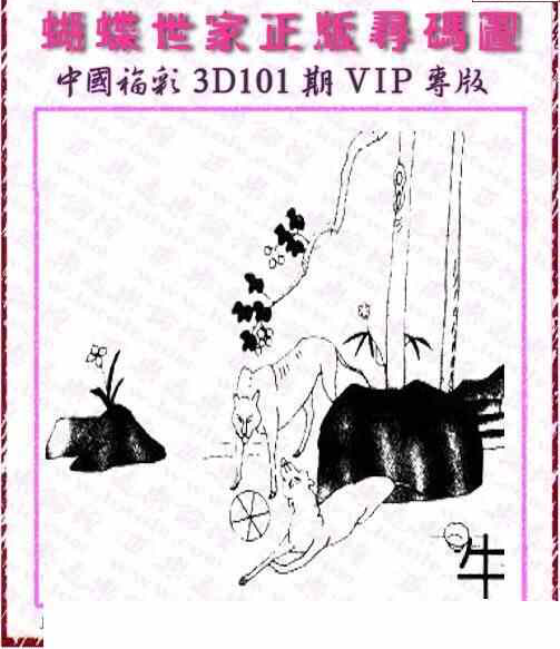 24101期: 3D蝴蝶世家蝴蝶彩图