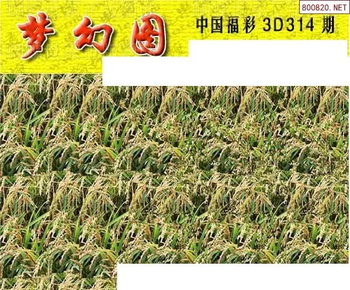 25314期: 3D蝴蝶世家蝴蝶彩图