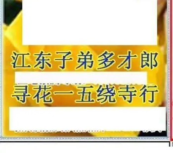 25337期: 三毛3D精品图谜