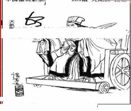 24209期: 三毛3D精品图谜