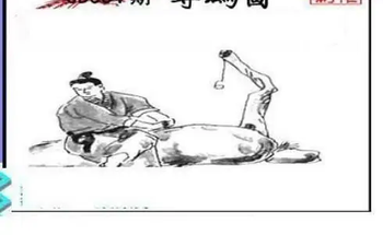 26004期: 三毛3D精品图谜