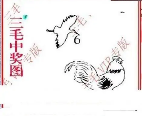 25260期: 三毛3D精品图谜