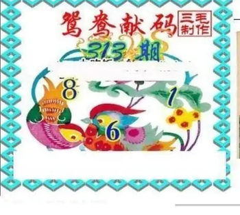 25313期: 三毛3D精品图谜