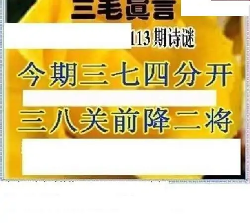 25113期: 三毛3D精品图谜