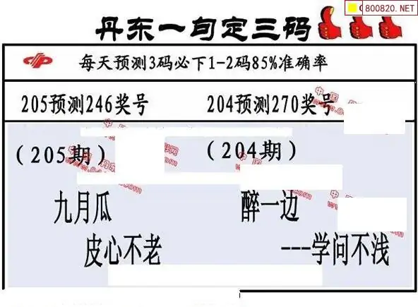 25205期: 福彩3D丹东全图分析