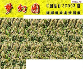 26093期: 3D蝴蝶世家蝴蝶彩图