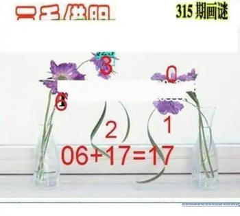 25315期: 三毛3D精品图谜