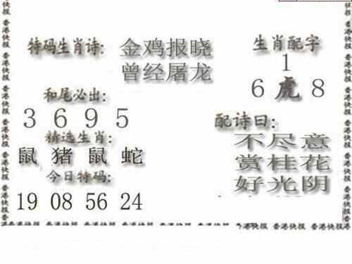 24181期: 白老3D杀码图版