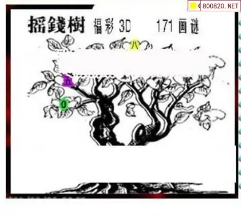 25171期: 三毛3D精品图谜