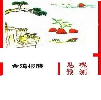 26030期: 白老3D杀码图版