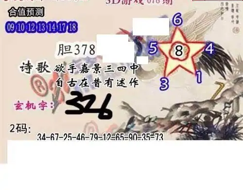 25078期: 白老3D杀码图版