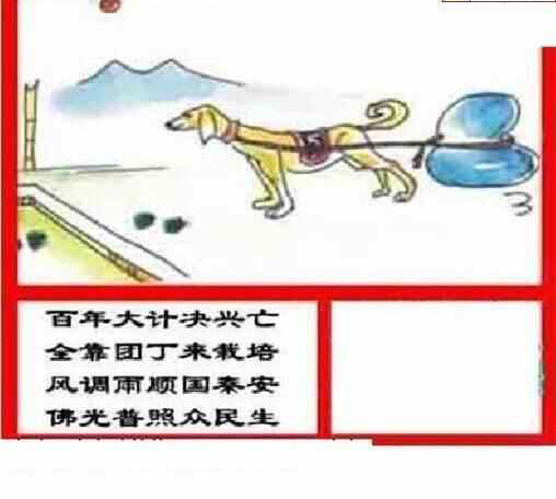 24106期: 三毛3D精品图谜