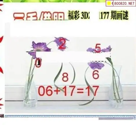 25177期: 三毛3D精品图谜