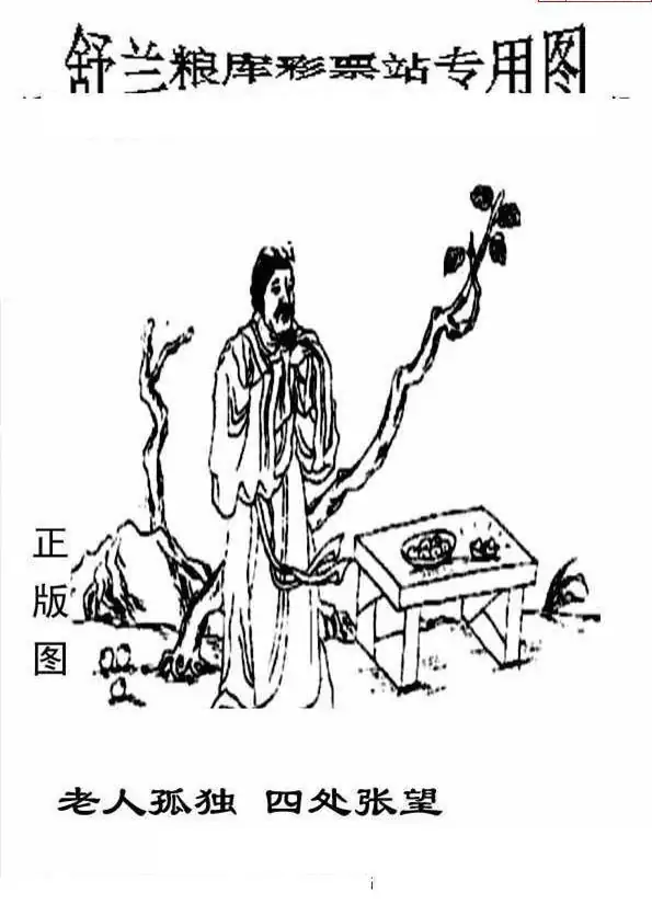 25216期: 老村长福彩3D天天图谜