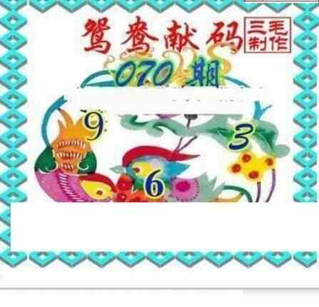 24070期: 三毛3D精品图谜