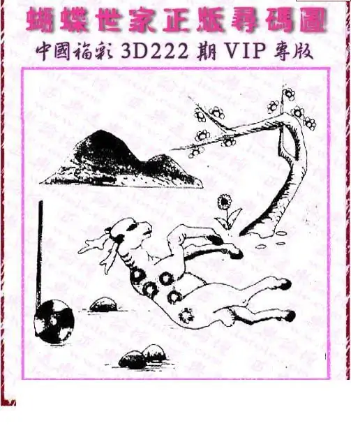 25222期: 3D蝴蝶世家蝴蝶彩图