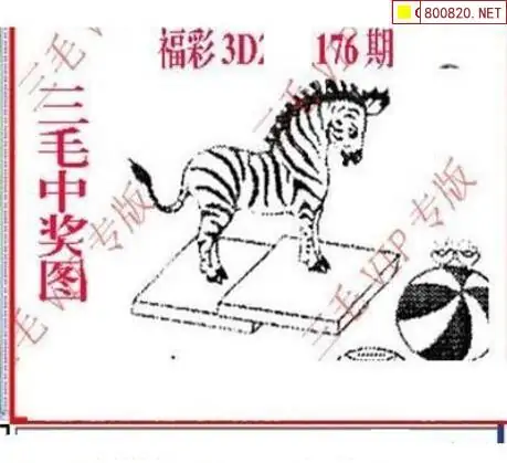 25176期: 三毛3D精品图谜