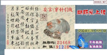 26020期: 3D蝴蝶世家蝴蝶彩图