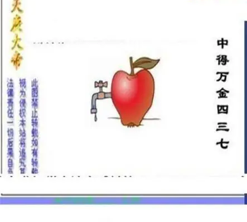 26094期: 三毛3D精品图谜