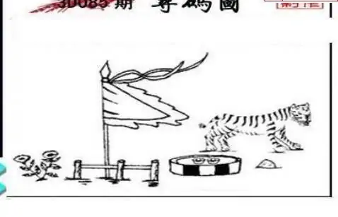 25085期: 三毛3D精品图谜