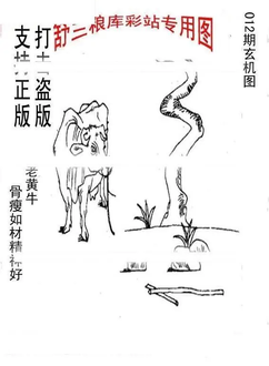 26012期: 老村长福彩3D天天图谜