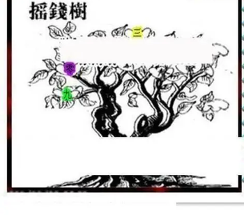 26086期: 三毛3D精品图谜