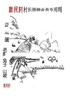 26021期: 老村长福彩3D天天图谜