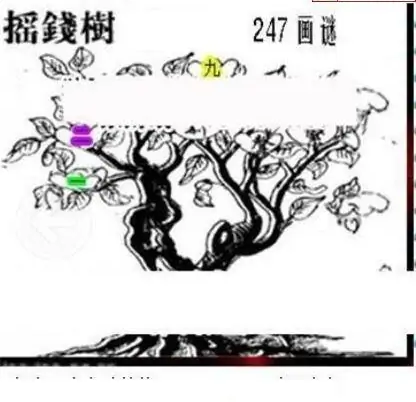 25247期: 三毛3D精品图谜