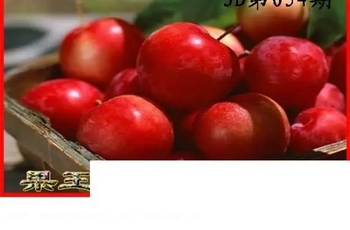 26054期: 白老3D杀码图版